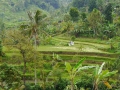 Indonesien 038